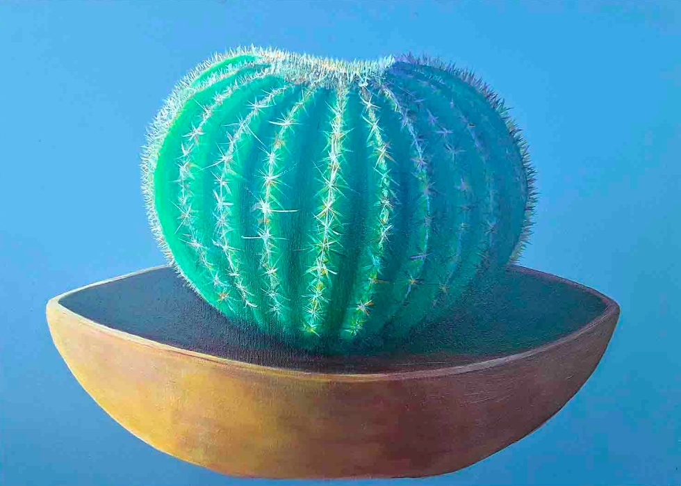 3 Cactus (India) 2012 h.50x70 TM su tela